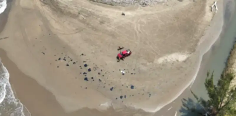 Derrame de petróleo en Golfo de México: 630 km de costa contaminados sin control