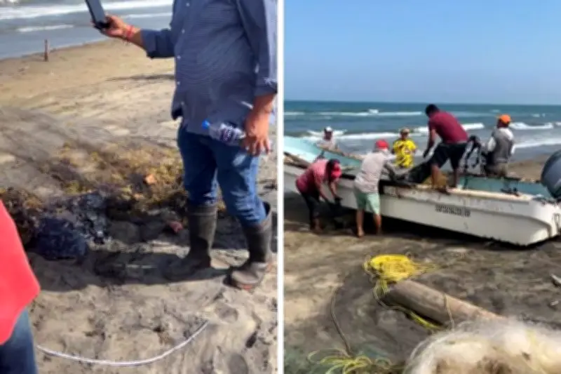 Derrame de petróleo en Tabasco y Veracruz: alerta ambiental y operativo de contención