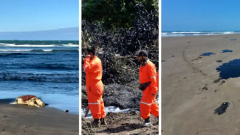 Derrame de petróleo en Veracruz y Tabasco: ocho consecuencias devastadoras a largo plazo