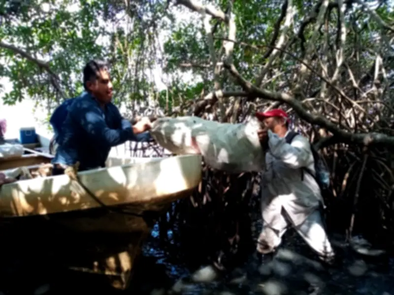 Derrame de petróleo se extiende 630 km en Golfo de México, afectando 51 sitios y cientos de comunidades