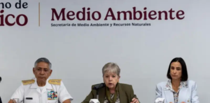 Derrame en el Golfo de México: Cronología y Estado Actual de la Emergencia