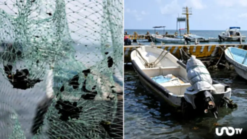 Derrame en Golfo de México: 600 km de litoral afectados y dudas sobre la versión oficial