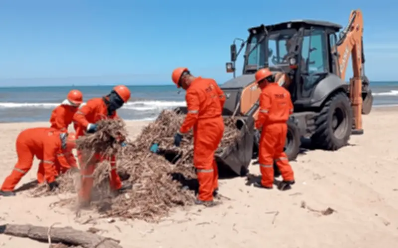 Derrame en Golfo de México: A 23 días, origen sin esclarecer y daños crecientes