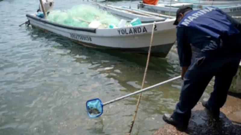 Derrame en Golfo de México: Superan 825 Toneladas de Residuos Tóxicos Recolectados