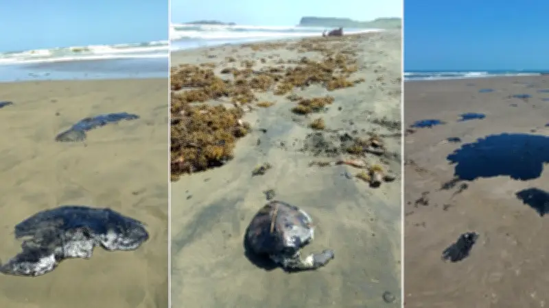 Derrame en Golfo: Pemex recolecta 128 toneladas de hidrocarburo en Veracruz y Tabasco