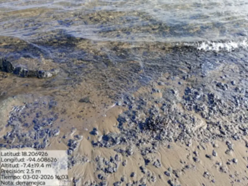 Derrame petrolero afecta 17 sitios en Veracruz y Tabasco; comunidades exigen acción inmediata