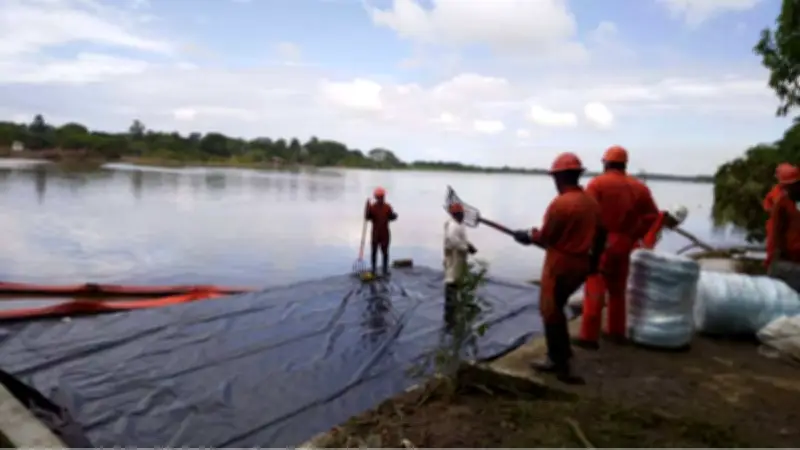 Derrame petrolero en Golfo de México: 20 días sin control y 630 km de costa afectada