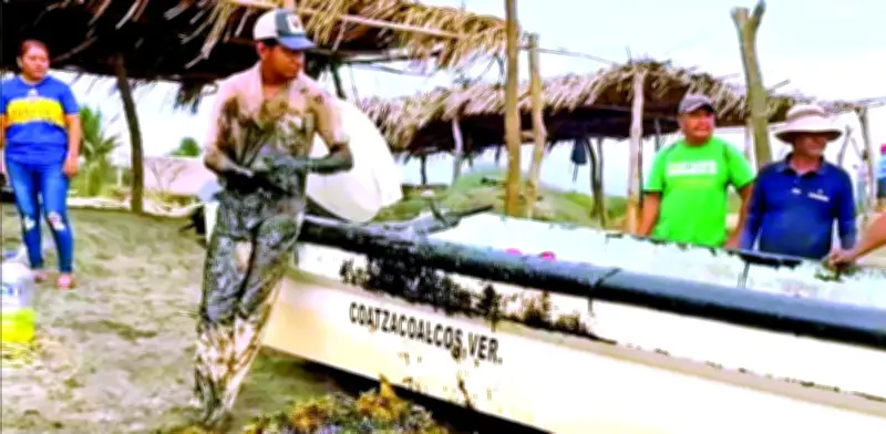 Derrame petrolero en Golfo de México amenaza economía de pescadores y turismo