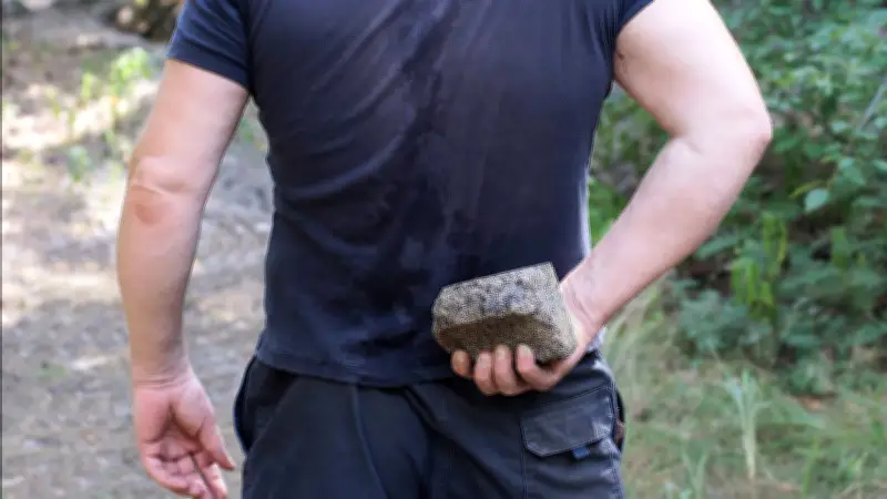 Desalojo Violento en Playa del Carmen: Policías Dañan Vivienda y Lanzan Piedras