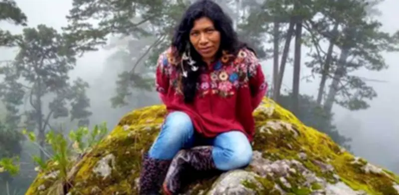 Desaparece la ambientalista Irma Galindo en Oaxaca tras denunciar tala ilegal