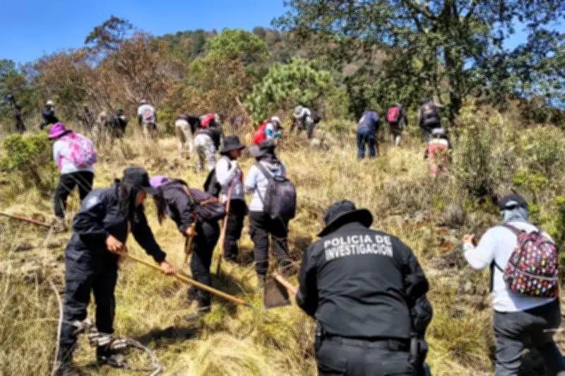 Desapariciones en CDMX aumentan; autoridades afinan estrategias de búsqueda