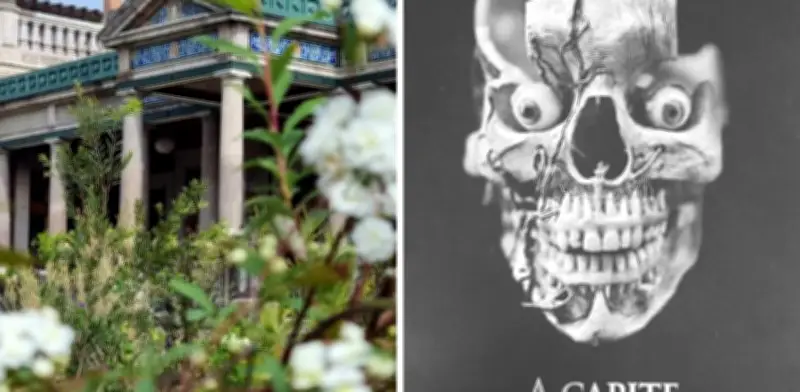 Descubre los museos secretos de la CDMX: Joyas culturales fuera del radar turístico