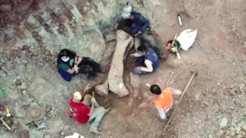 Descubren en Brasil dinosaurio gigante de 20 metros vinculado a especie española