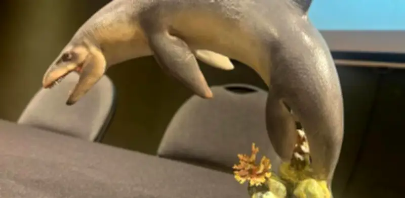 Descubren en México nueva especie de mosasaurio de 70 millones de años