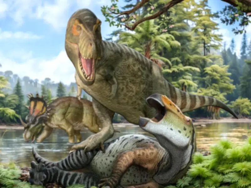 Descubren en Nuevo México una tibia gigante que podría reescribir el origen del Tiranosaurio