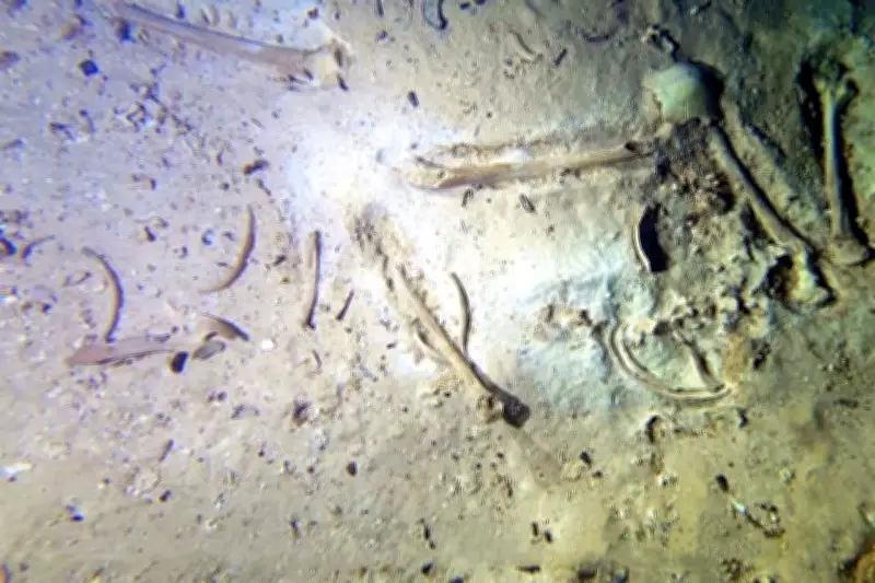 Descubren fósil humano de 8 mil años en México, revelando secretos ancestrales