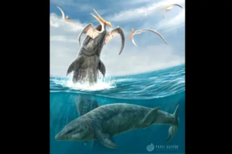 Descubren nueva especie de depredador marino en Coahuila, un reptil de 1.8 metros