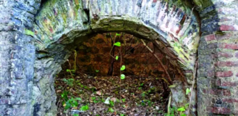 Descubren vestigios históricos en Chocotán, Veracruz durante labores municipales