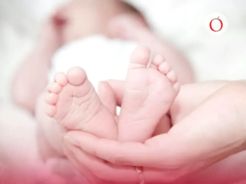 Desde la Cuna 2026 CDMX: Renovación obligatoria de tarjeta para recibir pagos