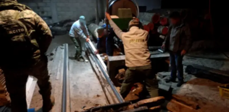 Desmantelan aserradero clandestino en bosque del Edomex tras operativo masivo