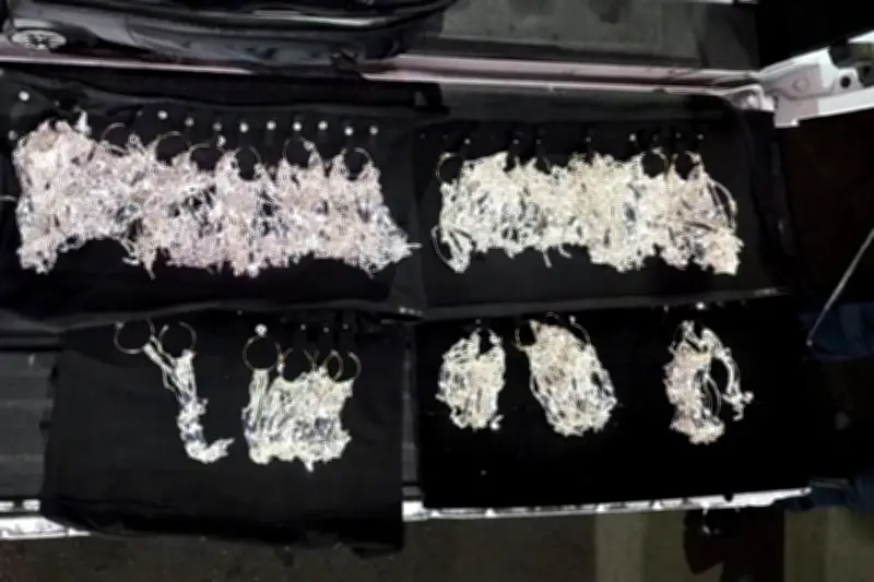 Detienen a 4 colombianos por robo millonario de joyas de plata en México