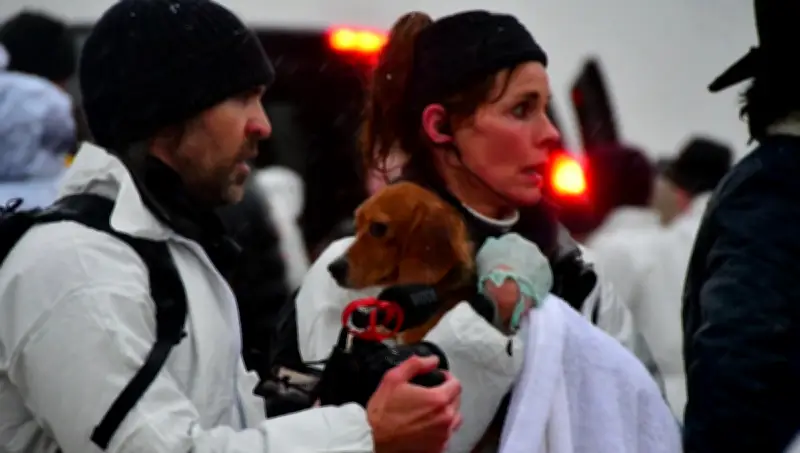 Detienen a actriz de Guardianes de la Bahía por intentar liberar perros de granja de investigación