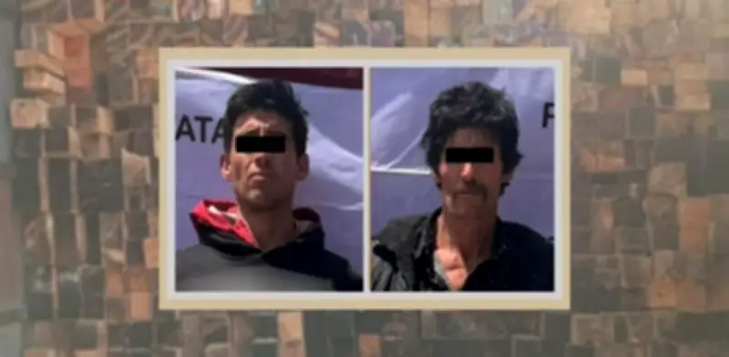 Detienen a dos hombres por transportar madera talada ilegalmente en el Estado de México