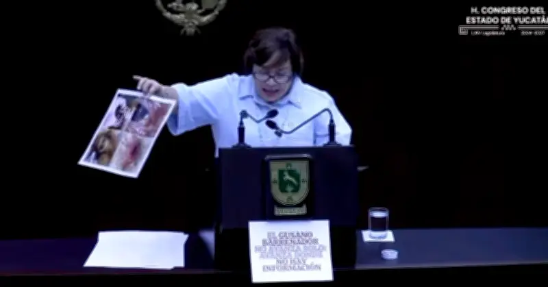 Diputada del PAN usa imágenes falsas de Ucrania y Vietnam para criticar gestión del gusano barrenador