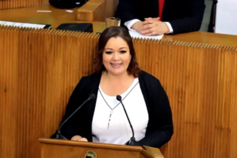 Diputada denuncia ataque digital coordinado para silenciar su labor legislativa