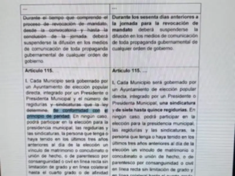 Diputada PAN acusa 'duende machista' en Plan B electoral que elimina paridad de género