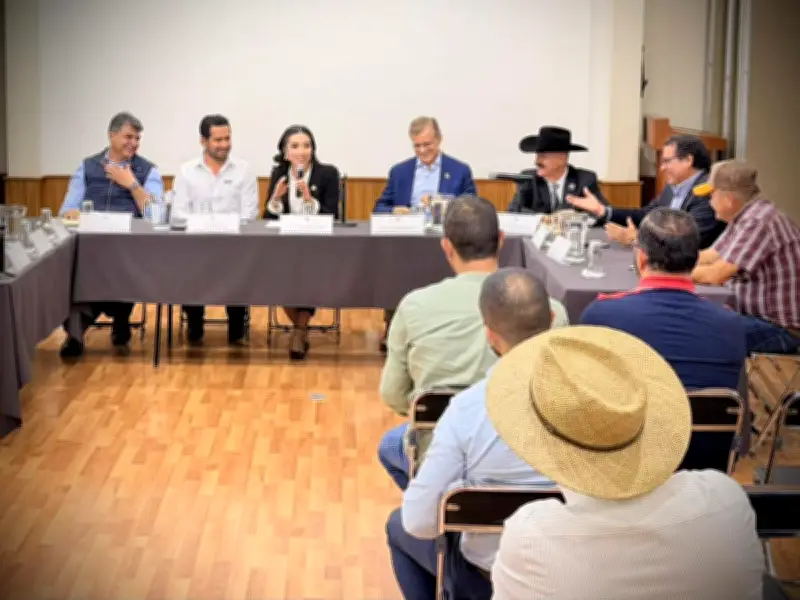 Diputada Valeria Ávila impulsa nuevo rastro municipal en Tonalá para garantizar sanidad