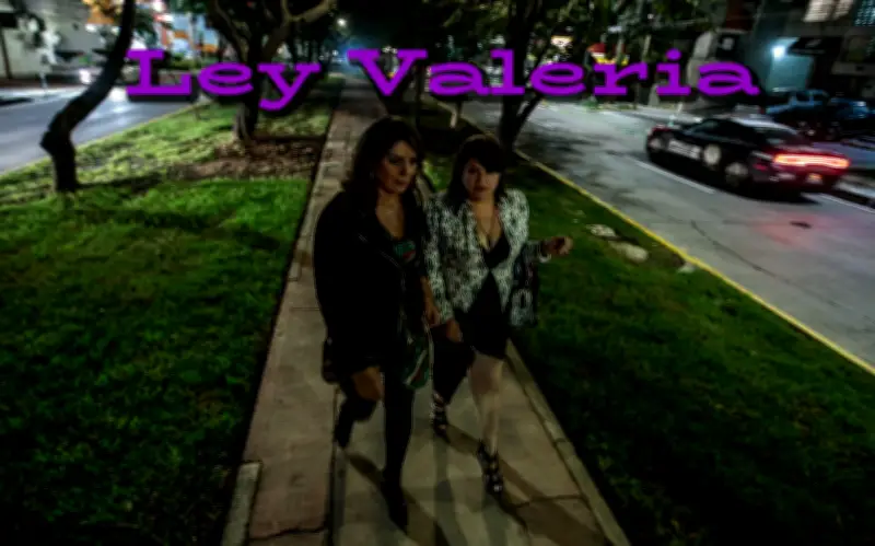 Diputados aprueba la Ley Valeria para tipificar el acecho como delito federal