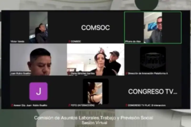 Diputados en Sesión Virtual: Uno Conduce y Otro desde Estética