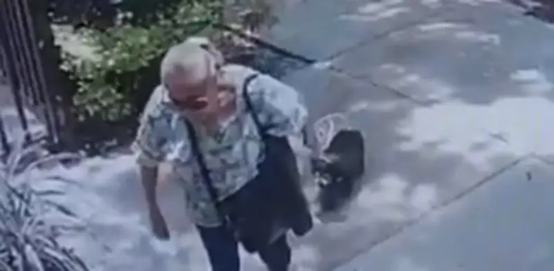 Disculpa psiquiátrica de 'abuela mataperros' evita prisión y expone vacíos en justicia animal