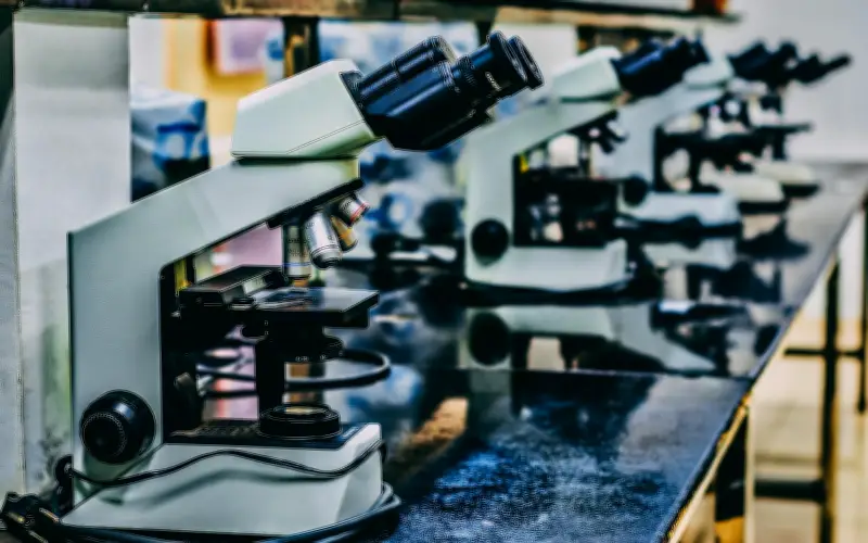 Disruptores endocrinos: cómo los químicos cotidianos alteran nuestras hormonas