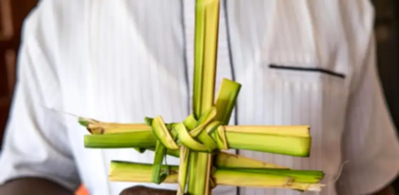 Domingo de Ramos 2026: Significado y Tradición de las Palmas Benditas