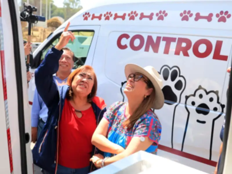 Ecatepec lanza ambulancias veterinarias y unidad especializada para rescate animal