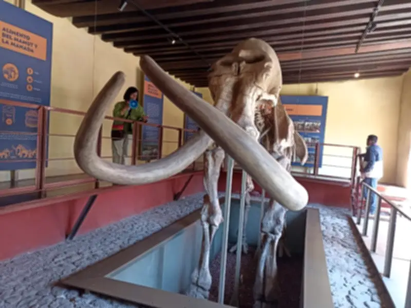 Ecatepec lanza 'La Ruta de Morelos' para redescubrir el legado histórico del héroe