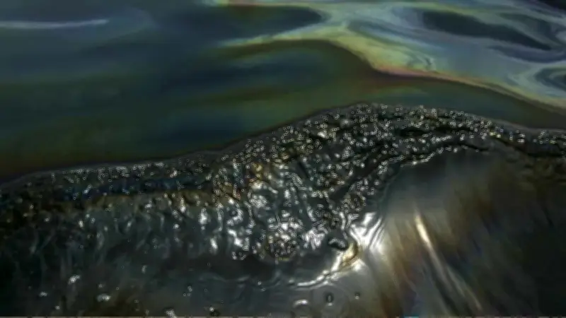 Ecocidio en Veracruz: Petróleo contamina 630 km de costa y afecta pesca y turismo