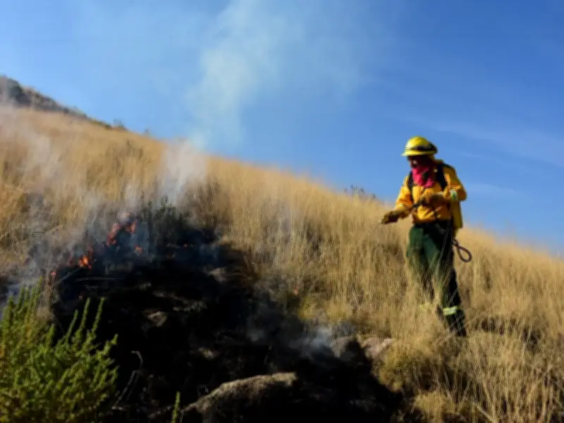 Edomex activa operativo especial para prevenir incendios forestales en Semana Santa 2026