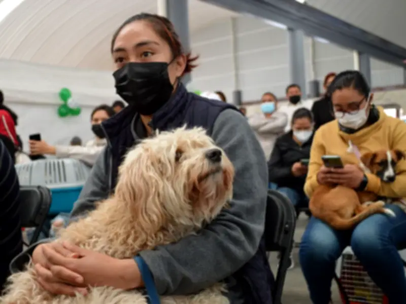 Edomex lanza Semana Nacional de Vacunación Antirrábica 2026 con 2.8 millones de dosis