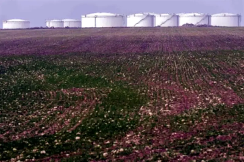 El crudo WTI se dispara un 8% y supera la barrera de los 80 dólares por barril