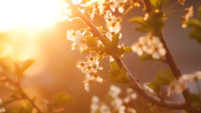 El equinoccio de primavera: ¿Por qué cambia su fecha y hora cada año?