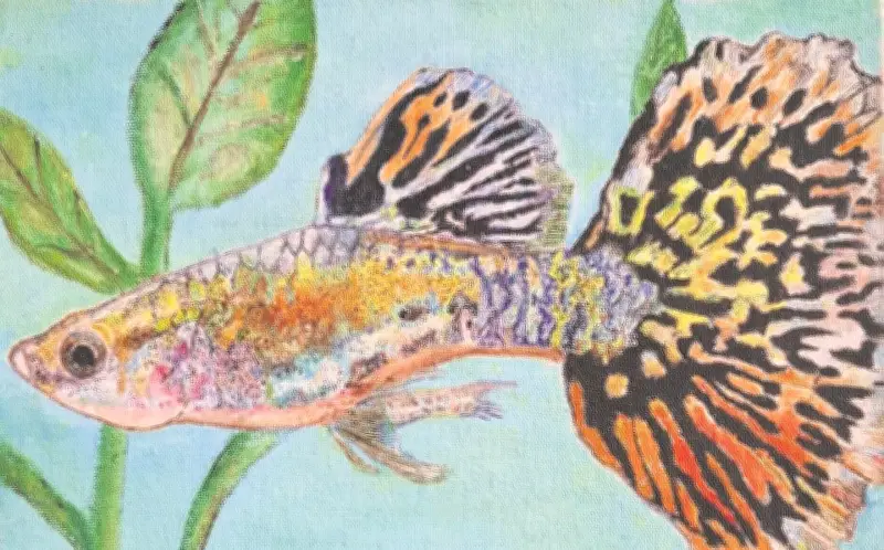 El Guppy: De Inocente Mascota a Invasor Global que Amenaza la Biodiversidad de México