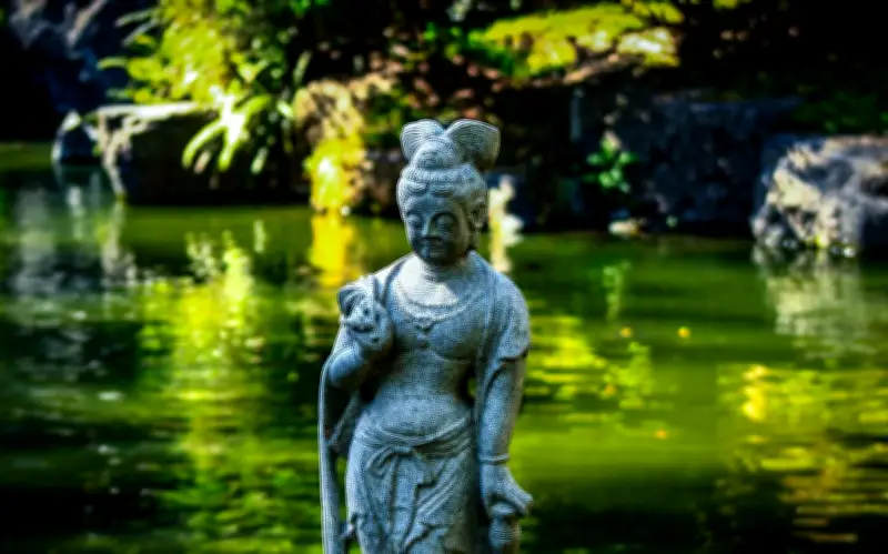 El Jardín Japonés de Guadalajara: Un Rincón del Sol Naciente en el Bosque Los Colomos