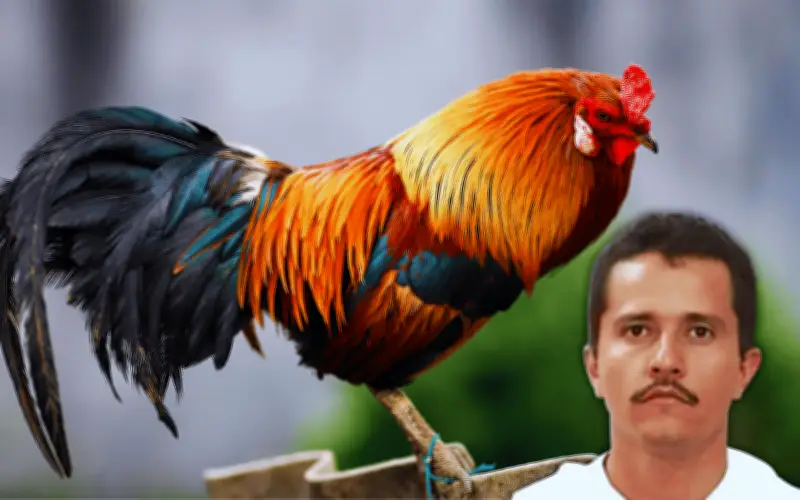 El origen de los apodos de 'El Mencho': de Nemesio a 'El Señor de los Gallos'