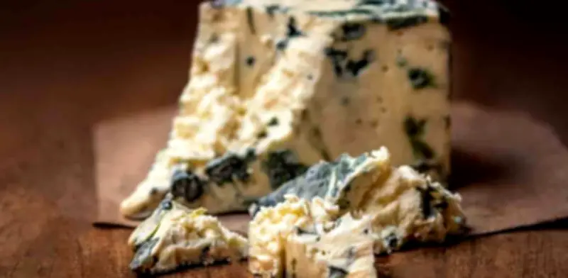 El queso azul: descubre el arte y ciencia detrás de sus vetas y sabor intenso