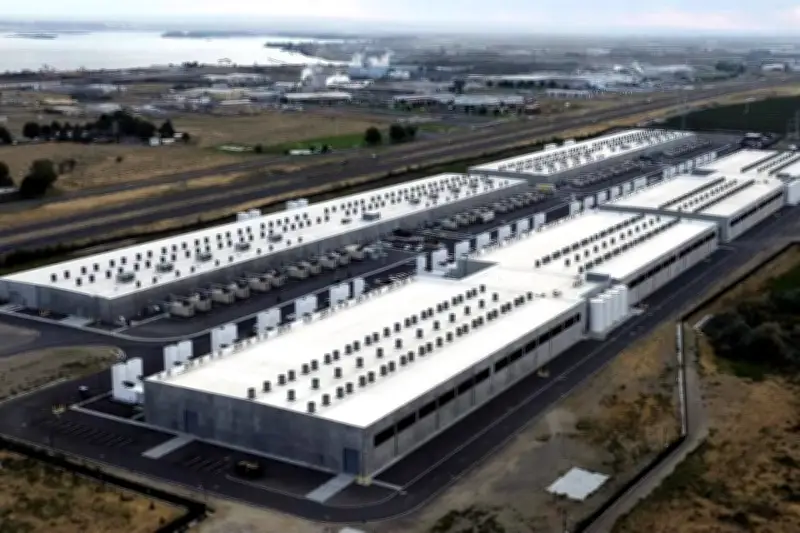 Empresas de IA ofrecen incentivos a empleados en campamentos de desarrollo tecnológico