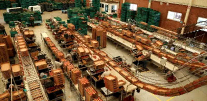 Empresas Mexicanas Apuestan por Fortalecer el T-MEC ante Revisión Trilateral