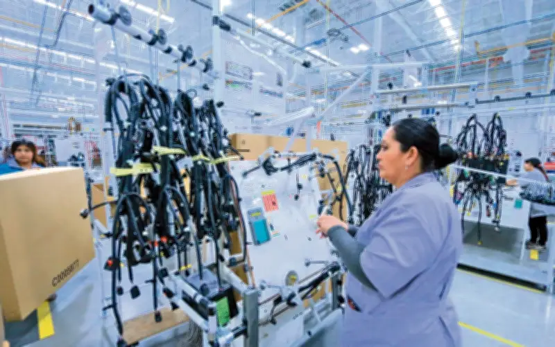 Empresas mexicanas en riesgo por pólizas de seguros desactualizadas ante nuevos criterios internacionales